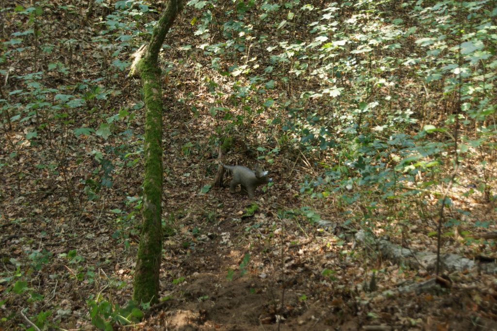 DSC00127