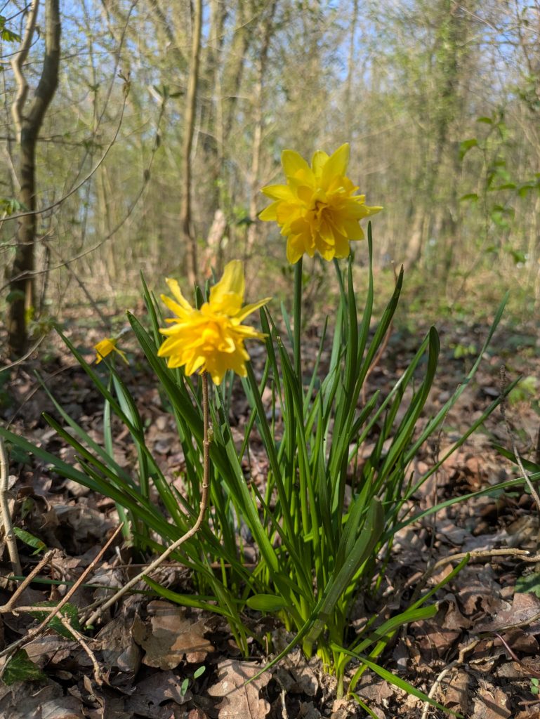 WhatsApp Image 2026-03-22 at 14.55.35